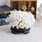 Pack of 2 White Coral Decor, White Coral Reef, Faux Artificial Coral Statue, Resin Coral Sculpture Nautical Tabletop Decoration for Beach Theme Party Home Decor Wedding Decoration